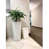 imageRubbermaid Small Trash 9Gallons Beige Plastic Garbage CanWastebasket for KitchenBathroom fits UnderSinkDeskCountertopCabinet 21quart BisqueBisque