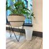 imageRubbermaid Spa Works Compact Contemporary Style 9 Quart Indoor Open Vanity Home Trash Container WhiteClear